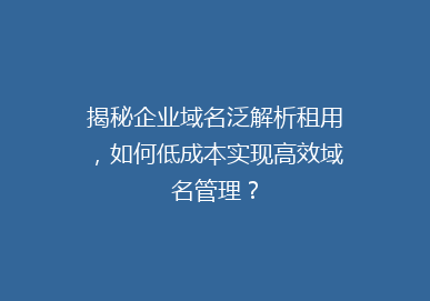 揭秘企业域名泛解析租用，如何低成本实现高效域名管理？