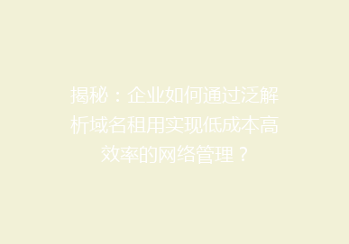 揭秘：企业如何通过泛解析域名租用实现低成本高效率的网络管理？
