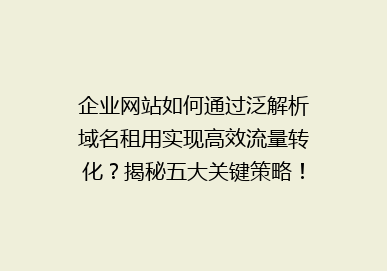 企业网站如何通过泛解析域名租用实现高效流量转化？揭秘五大关键策略！