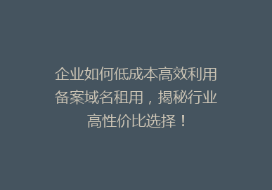 企业如何低成本高效利用备案域名租用，揭秘行业高性价比选择！