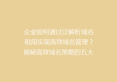 企业如何通过泛解析域名租用实现高效域名管理？揭秘高效域名策略的五大优势