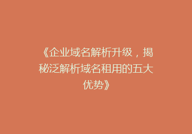 《企业域名解析升级，揭秘泛解析域名租用的五大优势》
