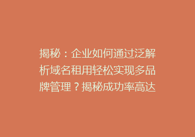揭秘：企业如何通过泛解析域名租用轻松实现多品牌管理？揭秘成功率高达95%的秘诀！