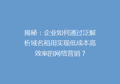 揭秘：企业如何通过泛解析域名租用实现低成本高效率的网络营销？