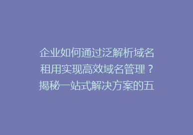 企业如何通过泛解析域名租用实现高效域名管理？揭秘一站式解决方案的五大优势