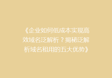 《企业如何低成本实现高效域名泛解析？揭秘泛解析域名租用的五大优势》