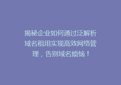 揭秘企业如何通过泛解析域名租用实现高效网络管理，告别域名烦恼！