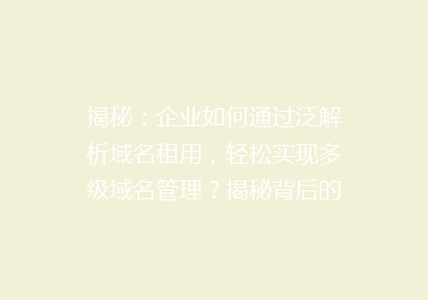 揭秘：企业如何通过泛解析域名租用，轻松实现多级域名管理？揭秘背后的秘密！