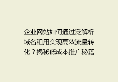 企业网站如何通过泛解析域名租用实现高效流量转化？揭秘低成本推广秘籍！