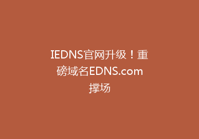 IEDNS官网升级！重磅域名EDNS.com撑场
