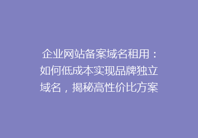企业网站备案域名租用：如何低成本实现品牌独立域名，揭秘高性价比方案！