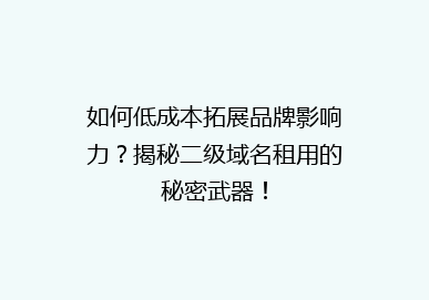 如何低成本拓展品牌影响力？揭秘二级域名租用的秘密武器！