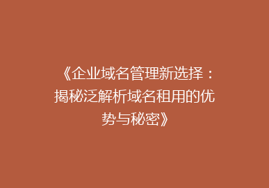 《企业域名管理新选择：揭秘泛解析域名租用的优势与秘密》