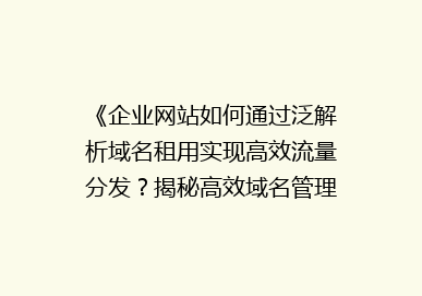 《企业网站如何通过泛解析域名租用实现高效流量分发？揭秘高效域名管理之道》
