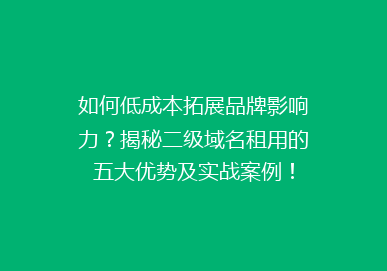 如何低成本拓展品牌影响力？揭秘二级域名租用的五大优势及实战案例！