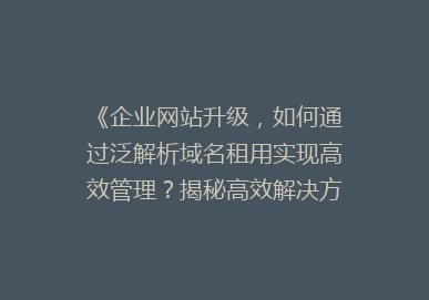 《企业网站升级，如何通过泛解析域名租用实现高效管理？揭秘高效解决方案》