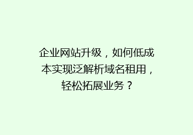 企业网站升级，如何低成本实现泛解析域名租用，轻松拓展业务？