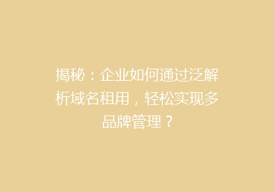 揭秘：企业如何通过泛解析域名租用，轻松实现多品牌管理？