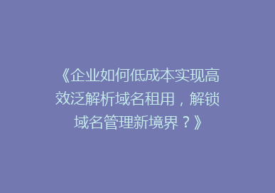 《企业如何低成本实现高效泛解析域名租用，解锁域名管理新境界？》