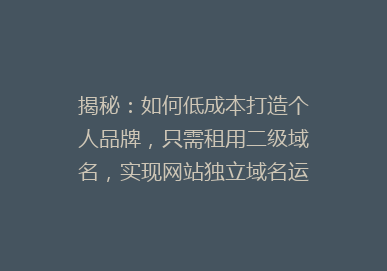 揭秘：如何低成本打造个人品牌，只需租用二级域名，实现网站独立域名运营！