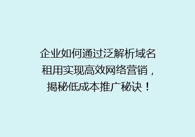 企业如何通过泛解析域名租用实现高效网络营销，揭秘低成本推广秘诀！