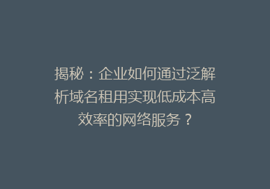 揭秘：企业如何通过泛解析域名租用实现低成本高效率的网络服务？