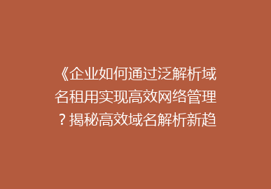 《企业如何通过泛解析域名租用实现高效网络管理？揭秘高效域名解析新趋势》