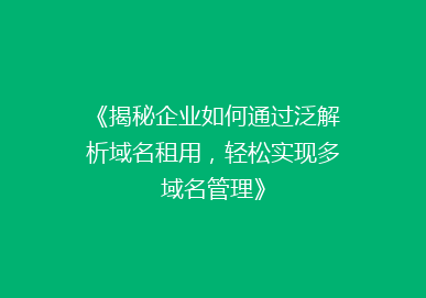 《揭秘企业如何通过泛解析域名租用，轻松实现多域名管理》