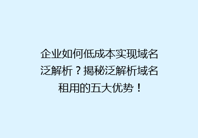 企业如何低成本实现域名泛解析？揭秘泛解析域名租用的五大优势！