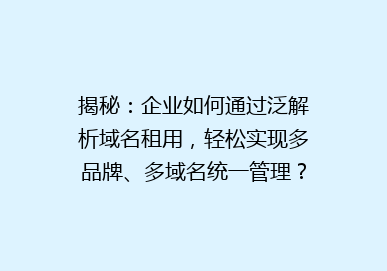 揭秘：企业如何通过泛解析域名租用，轻松实现多品牌、多域名统一管理？