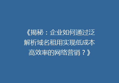 《揭秘：企业如何通过泛解析域名租用实现低成本高效率的网络营销？》