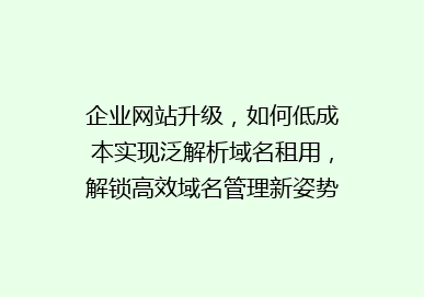 企业网站升级，如何低成本实现泛解析域名租用，解锁高效域名管理新姿势？
