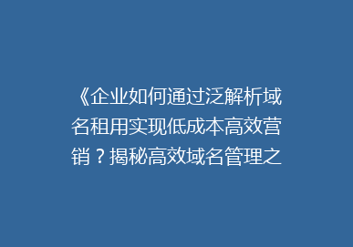 《企业如何通过泛解析域名租用实现低成本高效营销？揭秘高效域名管理之道》