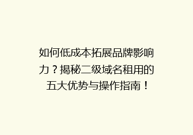 如何低成本拓展品牌影响力？揭秘二级域名租用的五大优势与操作指南！