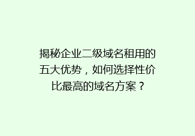 揭秘企业二级域名租用的五大优势，如何选择性价比最高的域名方案？
