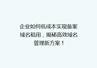 企业如何低成本实现备案域名租用，揭秘高效域名管理新方案！