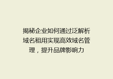 揭秘企业如何通过泛解析域名租用实现高效域名管理，提升品牌影响力