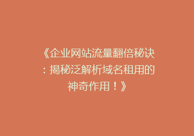 《企业网站流量翻倍秘诀：揭秘泛解析域名租用的神奇作用！》