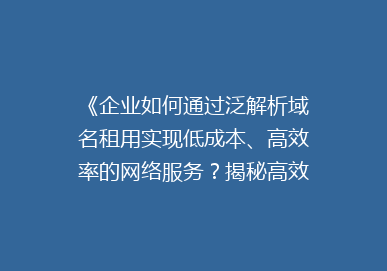 《企业如何通过泛解析域名租用实现低成本、高效率的网络服务？揭秘高效网络运营的秘密武器！》