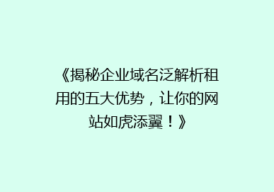 《揭秘企业域名泛解析租用的五大优势，让你的网站如虎添翼！》
