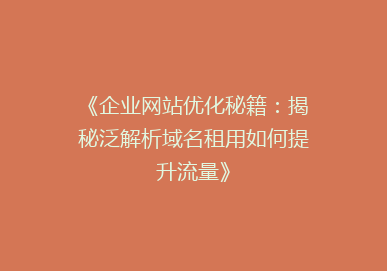 《企业网站优化秘籍：揭秘泛解析域名租用如何提升流量》