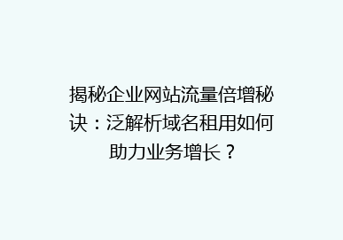 揭秘企业网站流量倍增秘诀：泛解析域名租用如何助力业务增长？