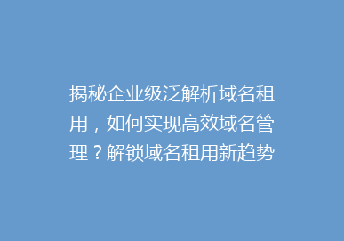 揭秘企业级泛解析域名租用，如何实现高效域名管理？解锁域名租用新趋势！