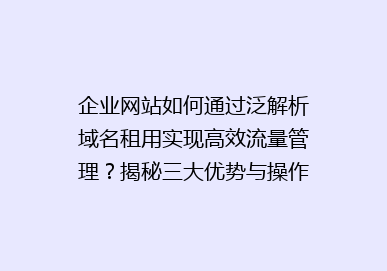 企业网站如何通过泛解析域名租用实现高效流量管理？揭秘三大优势与操作步骤！
