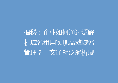 揭秘：企业如何通过泛解析域名租用实现高效域名管理？一文详解泛解析域名的奥秘！