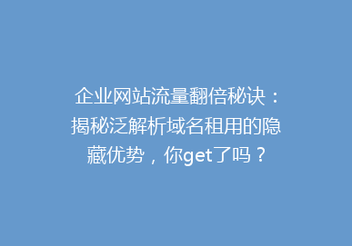 企业网站流量翻倍秘诀：揭秘泛解析域名租用的隐藏优势，你get了吗？