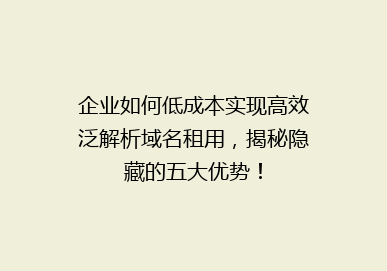 企业如何低成本实现高效泛解析域名租用，揭秘隐藏的五大优势！