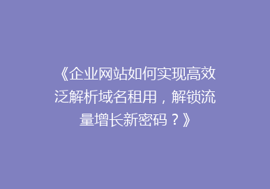 《企业网站如何实现高效泛解析域名租用，解锁流量增长新密码？》