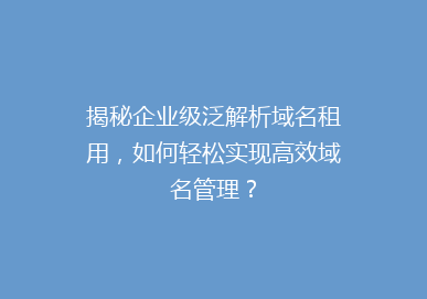 揭秘企业级泛解析域名租用，如何轻松实现高效域名管理？