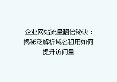 企业网站流量翻倍秘诀：揭秘泛解析域名租用如何提升访问量